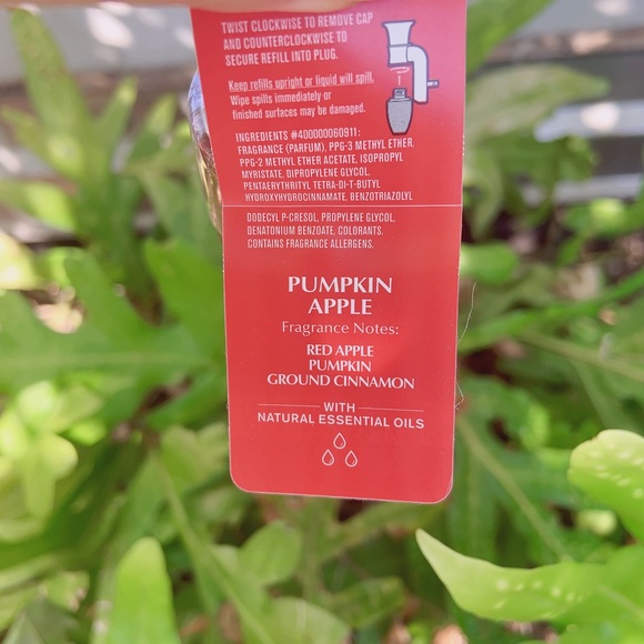 BBW Pumpkin apple & Cinnamon stick wallflower refills set - Picture 5 of 10